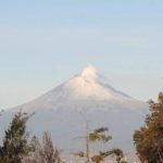 Grupo al que le está pegando más la quinta ola de Covid-19