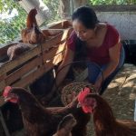 Inaugura Cultura exposición de acuarelistas poblanos