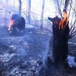 Con obra integral, gobierno de Tehuacán transforma calidad de vida en colonia Viveros