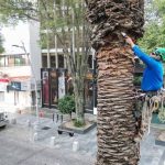 Ilusión camotera por representar a México y mostrar que el balompié azteca es gigante