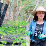 Pericos refuerza el bullpen