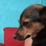 Regina Blandón explota con reportera al preguntarle sobre maternidad y abandona entrevista