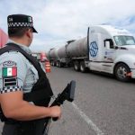 Interpone Instituto de Bienestar Animal 47 denuncias por maltrato animal en 2023