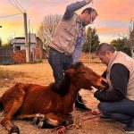 2023, el periodo con más robos a transportistas en los últimos cinco años