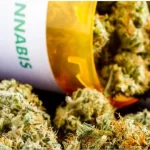 El sueño de Guardiola es ir a un Mundial como seleccionador