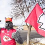 Incendio forestal en Libres avanzó hacia Ixtacamaxtitlán y Ocotepec