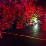 El Tribunal Constitucional de Tailandia destituye al primer ministro, Srettha Thavisin