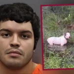 Más voces piden elevar la tarifa del transporte público en Puebla