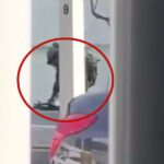 Presentarán Bill Burr y Charli XCX “Saturday Night Live” tras elecciones de EU