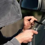 Milei sale en defensa de Musk: “nazi, las pelotas”