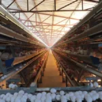 Promete Unión Europea duras contramedidas a los aranceles de EU