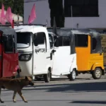 Arrestan a hombre que lanzó juguete sexual a duela durante juego de la WNBA