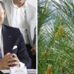 Decenas mueren en enfrentamiento con pandillas en Haití